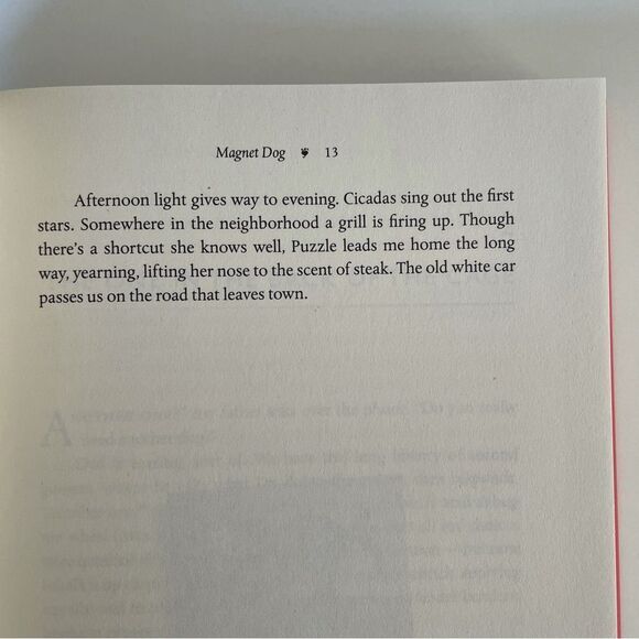 BOOK, Where the Lost Dogs Go, memoir, Susannah Charleston, Hardcover, NOS - Picture 15 of 15